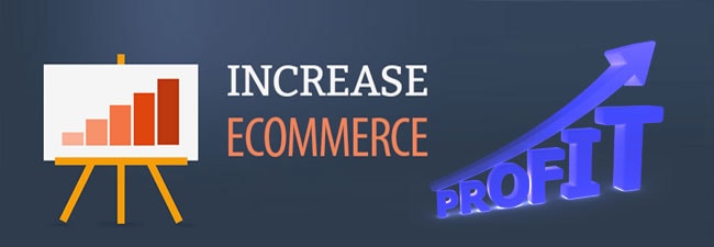 Read more about the article 5 smart ways to increase ecommerce profits exponentially